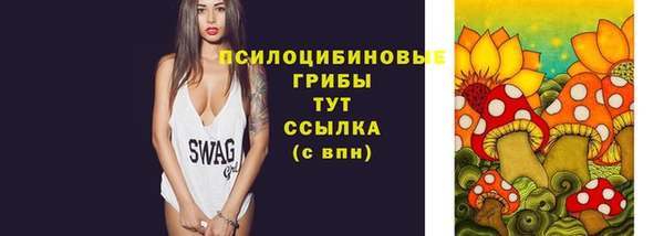 стафф Лабытнанги