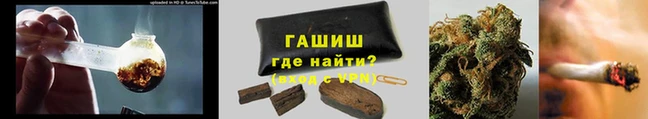 стафф Лабытнанги