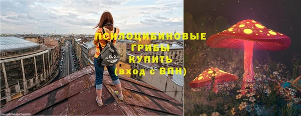 ПСИЛОЦИБИНОВЫЕ ГРИБЫ Липки